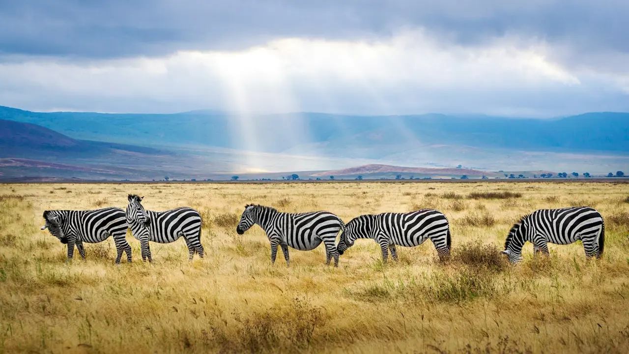 ngorongoro crater, tanzania