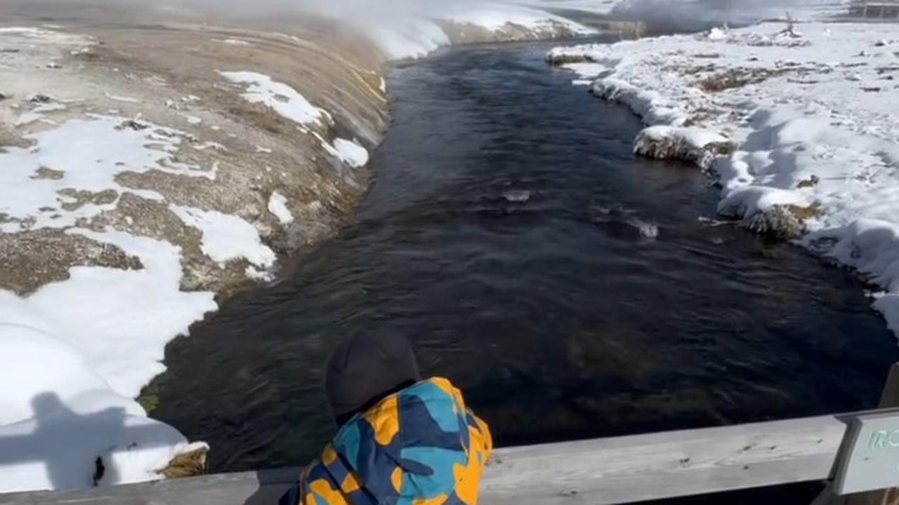 Potret Nikita Willy Ajak Issa Liburan ke Taman Nasional Yellowstone Tanpa Baby Nael