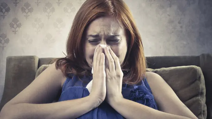 Foto: copyright Thinkstockphotos.com