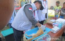 Tahukah Anda, Pulau Beras di Aceh Besar Makin Aman dari Rabies Berkat Bakti Sosial Komunitas Pencinta Kucing?