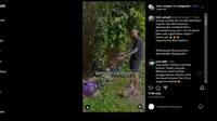 Tangkapan layar video reels dari @bule_sampah yang mengenalkan suatu komunitas permakultur di Bali bernama Jiwa Garden. (dok. Instagram @bule_sampah & @jiwagarden/https://www.instagram.com/reel/C5akM99RABF/?utm_source=ig_web_copy_link/Rusmia Nely)