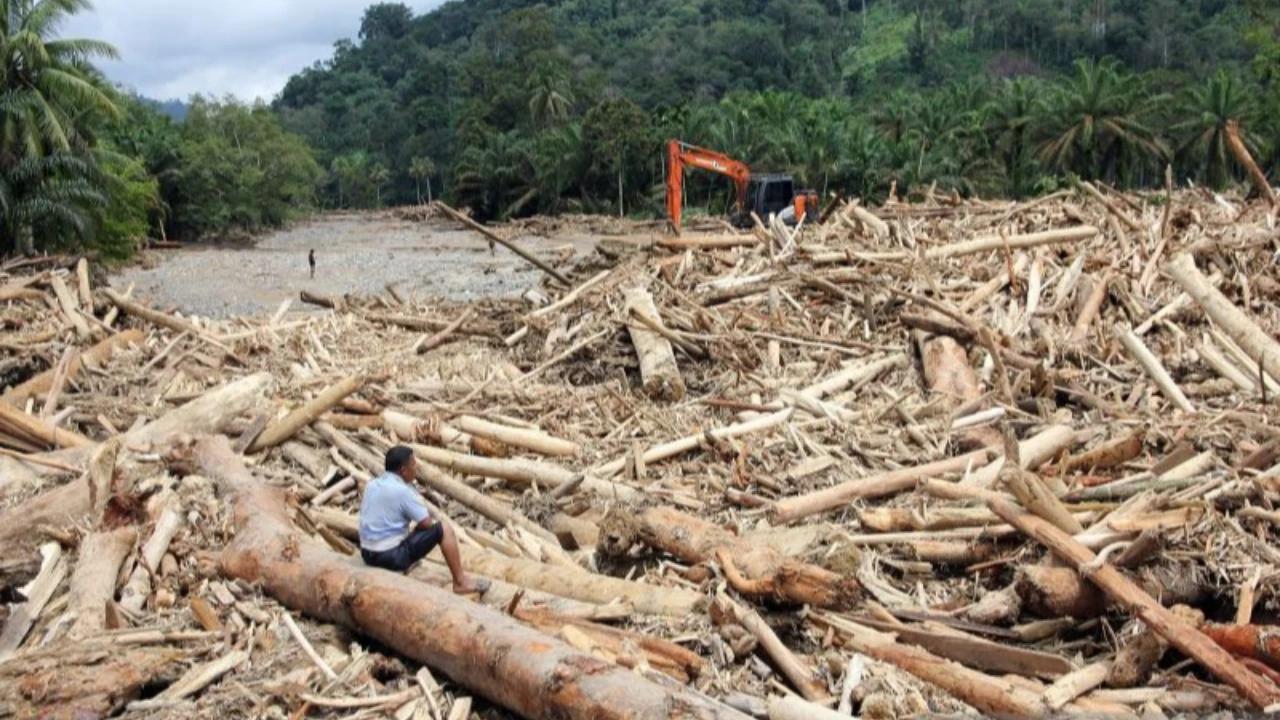 Penebangan Hutan Diduga Jadi Pemicu Banjir Sumatra, DPR Panggil Menhut Raja Juli Kamis Pekan Ini