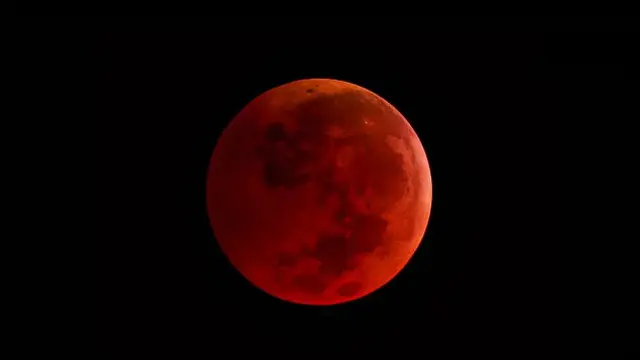 Aneka bulan (3)