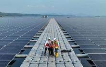 Bioenergi Jadi Pilar Ketahanan Energi Nasional, Libatkan Masyarakat dari Hulu ke Hilir
