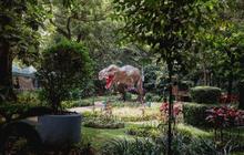 Pemkot Bandung Kaji Ulang Penamaan Taman Kota Berbasis Sejarah