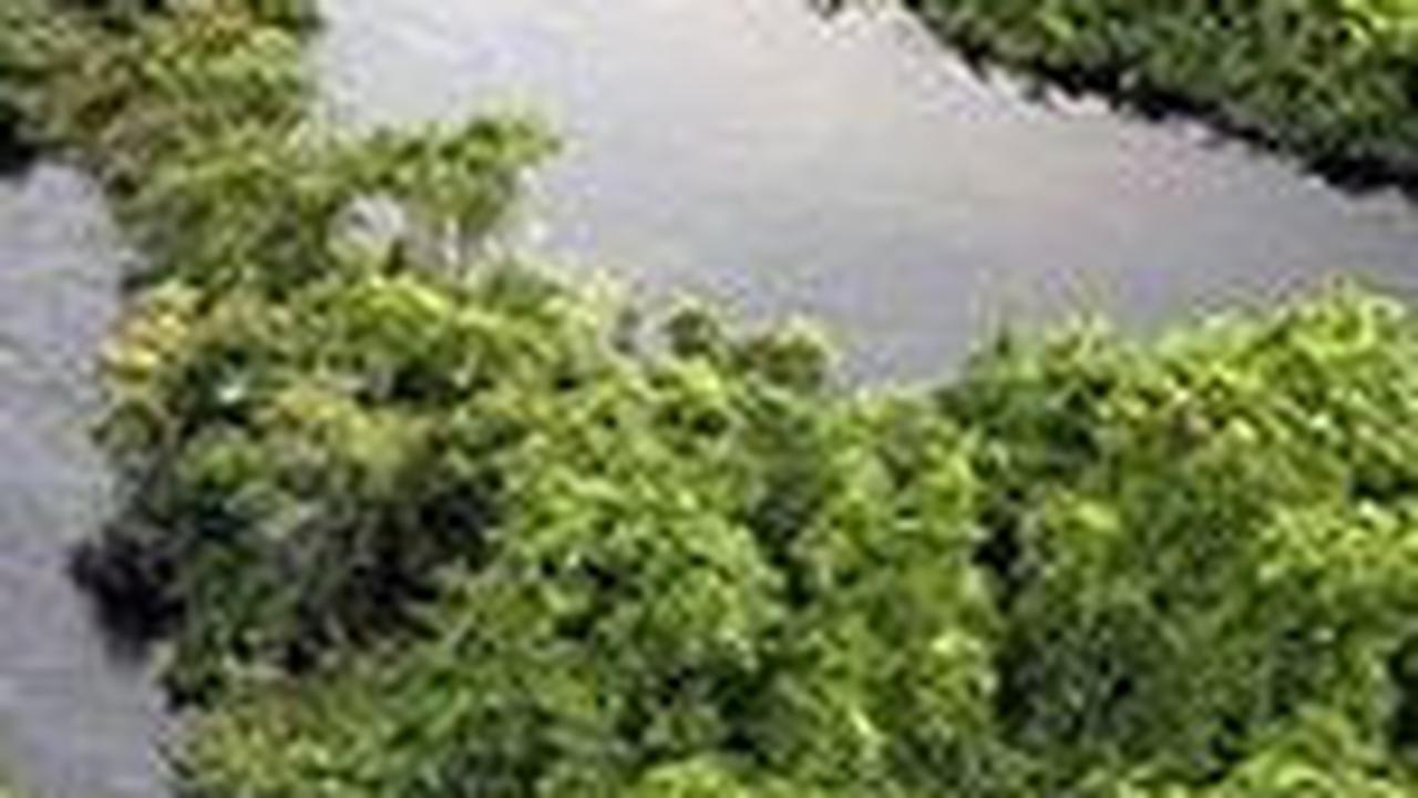8 Sungai Ini Jadi yang Terpanjang di Dunia 2023