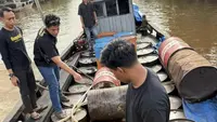 Perdagangan Ilegal Solar Subsidi di Riau Terungkap, Polisi Amankan Lebih dari 10 Ribu Liter