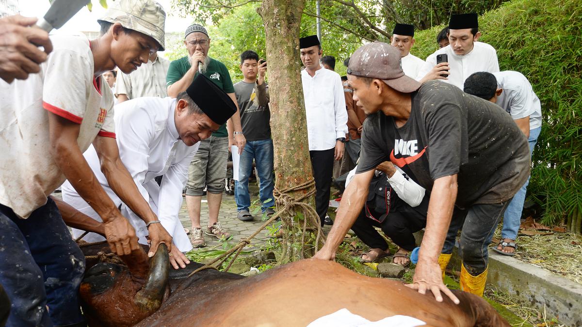 Bolehkah Menyembelih Hewan Kurban dengan Tangan Kiri, Sah atau Tidak?