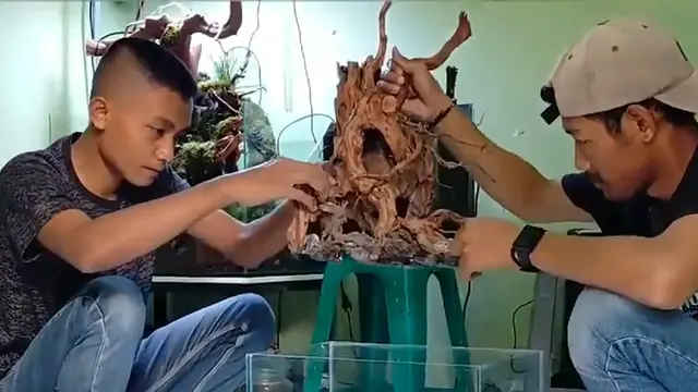Proses membuat aquascape
