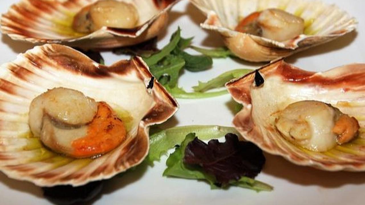 Tips Memasak Kerang Hijau