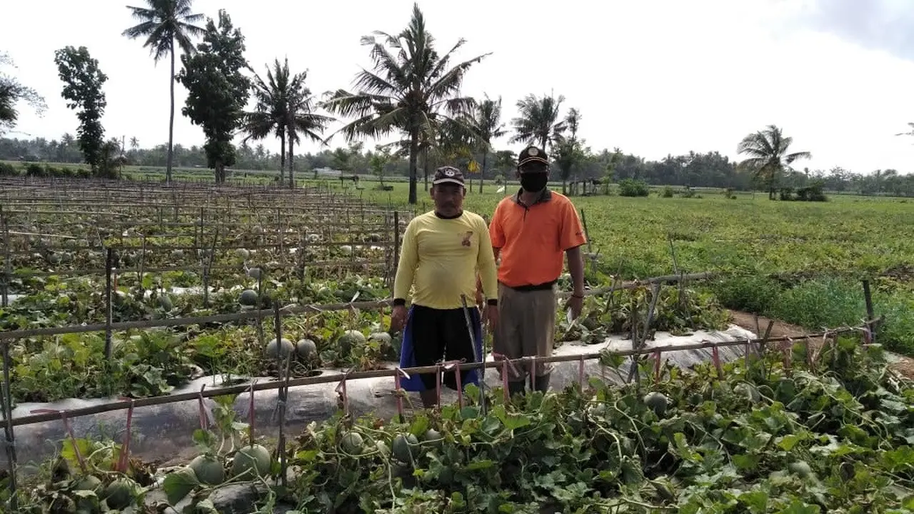 Kementan