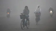 Kabut asap pekat yang tak kunjung hilang menyebabkan penderita infeksi saluran pernapasan akut (ISPA) di Provinsi Jambi terus bertambah. Dinas Kesehatan (Dinkes) Provinsi Jambi mencatat hingga pekan pertama Oktober 2015, penderita ISPA di daerah itu menca