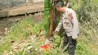 Geger Penemuan Jasad Bayi Dalam Plastik Merah di Sukabumi