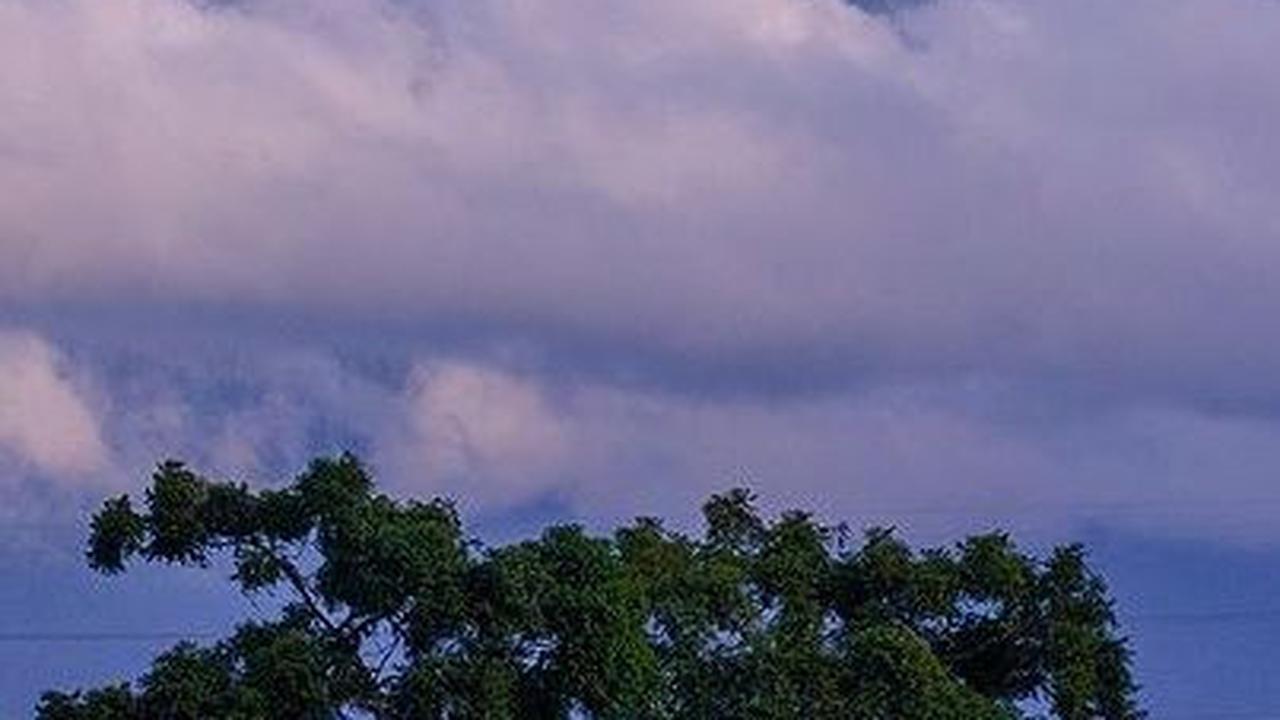 <b>2. Kebun Teh Liki</b>