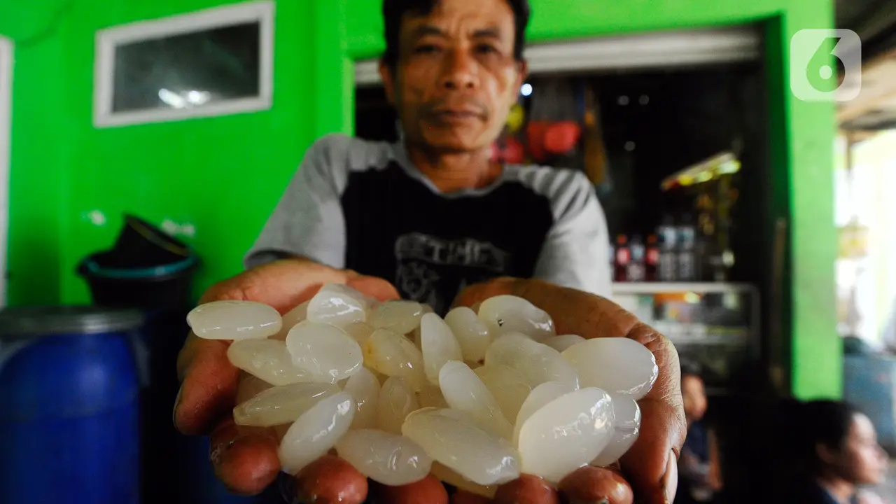 Makan Kolang-kaling Bisa Sehatkan Sendi, Mitos atau Fakta?