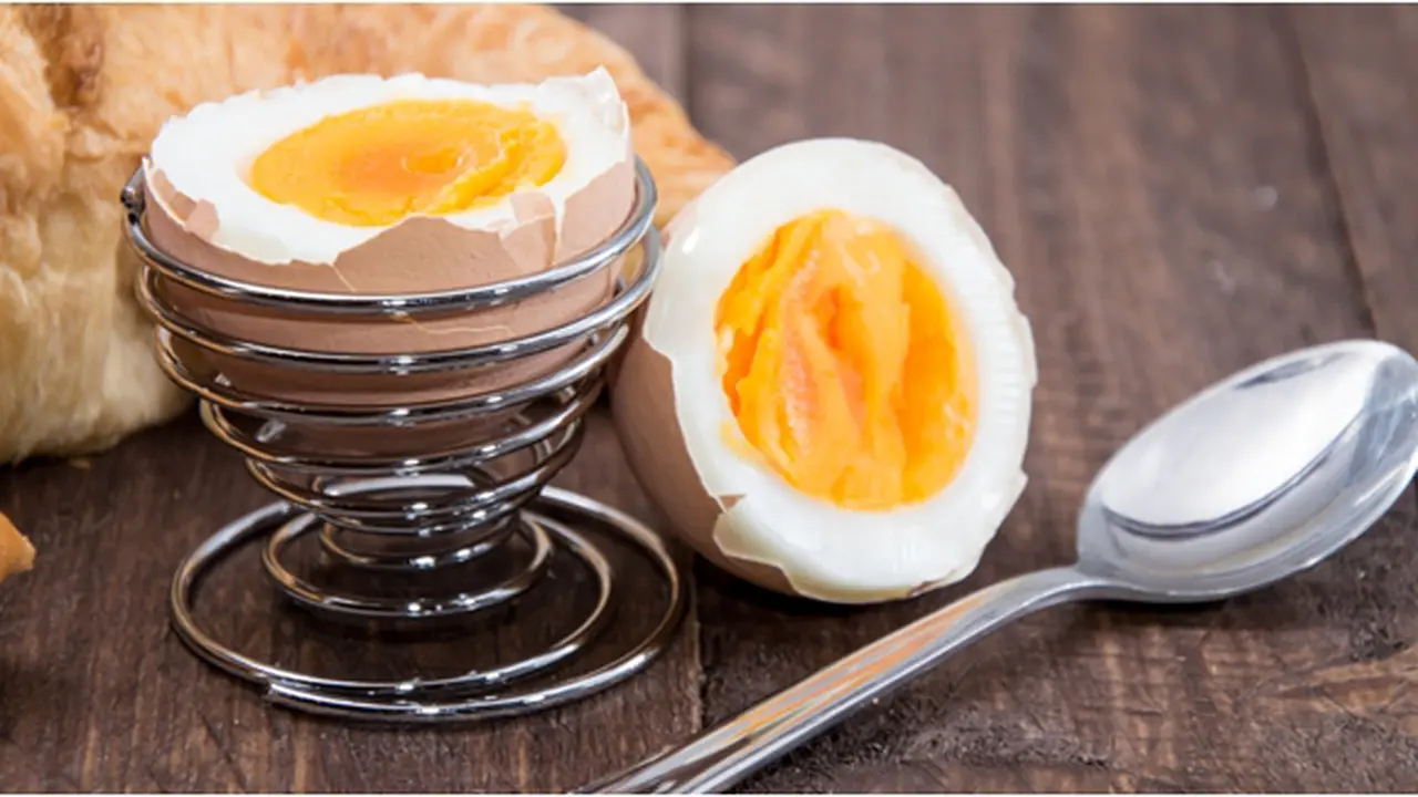 Courtesy ShutterStock.com