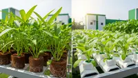Cocopeat vs Rockwool: Mana Media Tanam Paling Efisien untuk Sayuran Daun?
