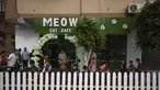 Warga Palestina berkumpul untuk upacara pembukaan Kafe Meow di Kota Gaza, Kamis, 17 Agustus 2023. (AP Photo/Fatima Shbair)