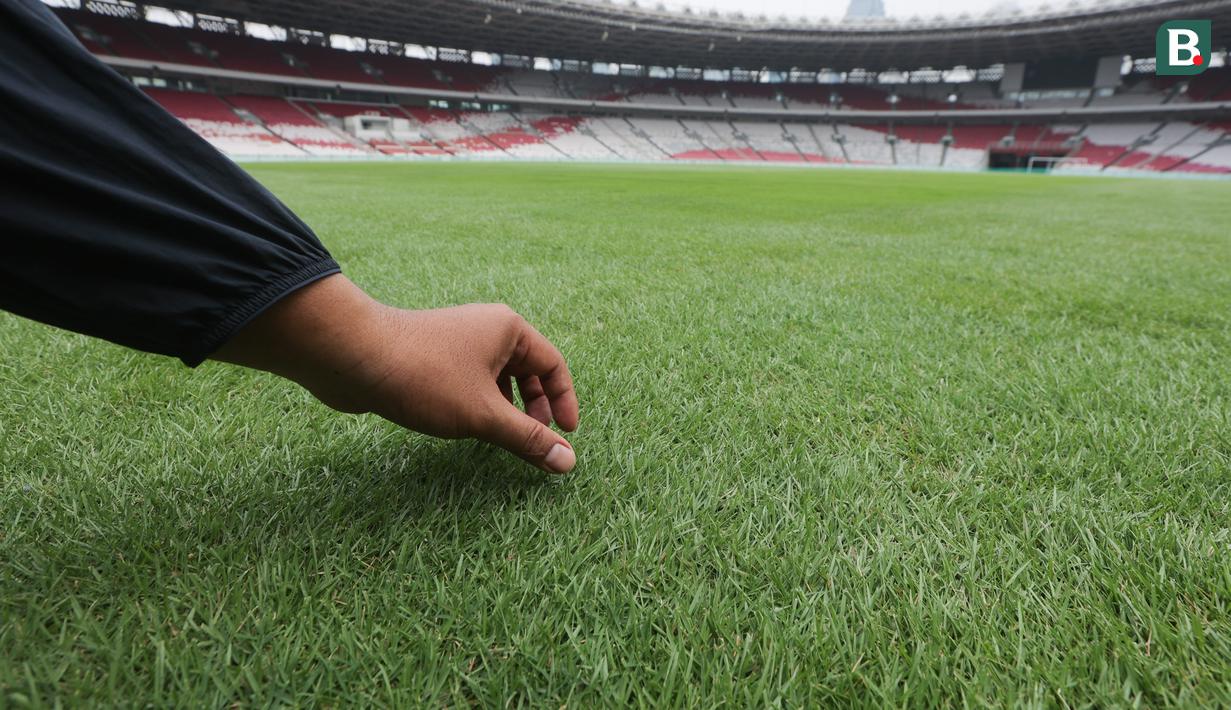 Tangan wartawan memegang rumput Stadion Utama Gelora Bung Karno (SUGBK), Jakarta, Jumat (11/8/2024).  (Bola.com/M Iqbal Ichsan)