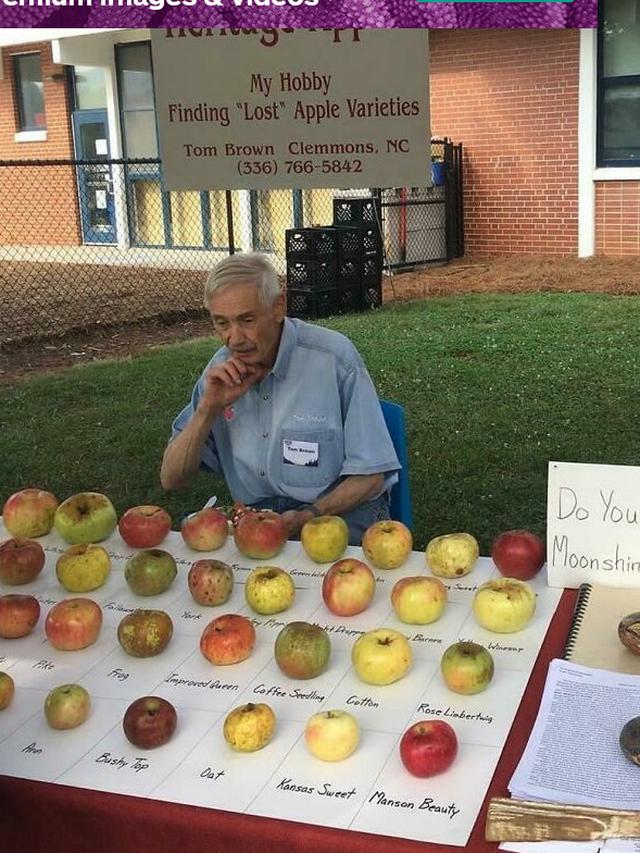 Dari Aneh Sampai yang Unik , Berikut 7 Potret Koleksi Milik Orang Ini