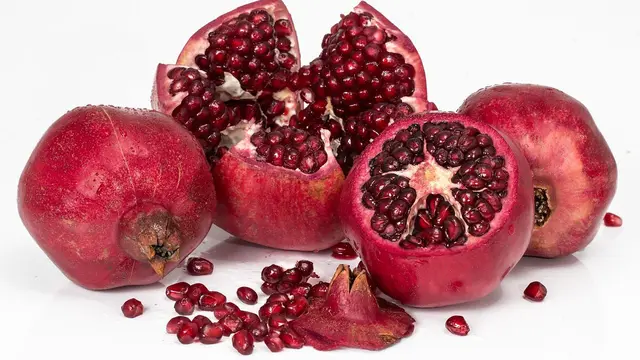 Ilsutrasi delima