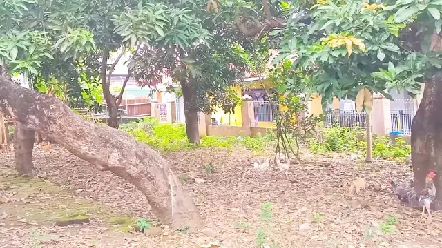 Rumah mendiang Abiem Ngesti