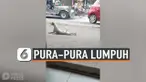 PURA-PURA LUMPUH
