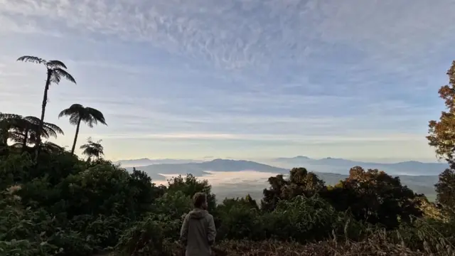 Kawasan Taman Nasional Gunung Kerinci Seblat