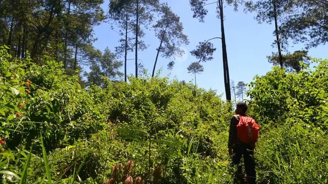 Trekking ke Gunung Buyung di Bandung