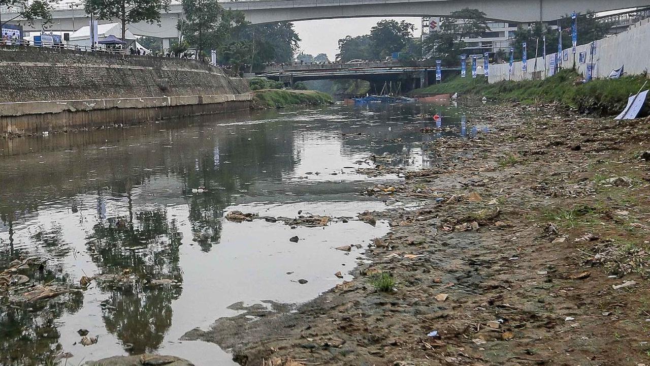 Kondisi ini mengharuskan petugas Unit Penanganan Sampah Badan Air ( UPS Badan Air) untuk segera bertindak mengangkut endapan sampah di dasar Sungai Ciliwung yang menyusut airnnya.