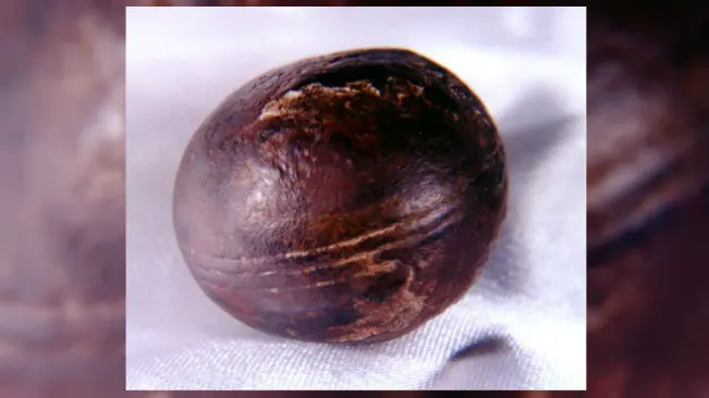 Bola misterius berbahan logam dari Afrika Selatan. (Sumber Wikimedia Commons/Robert Huggett untuk ranah publik)