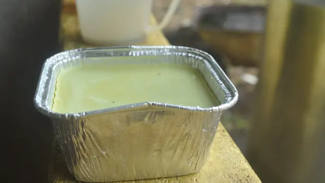 Tengkawang. (Foto: Liputan6.com/Aceng Mukaram)