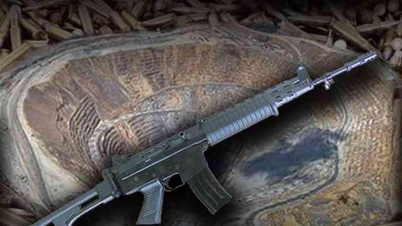 KKB Serang Tim Survei Papua Terang, Rampas 3 Senjata Milik TNI