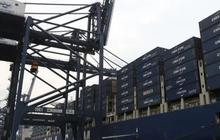 BPS: Inflasi November 2024 Naik Jadi 0,30 Persen