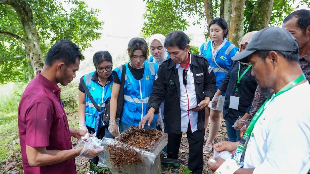 Dorong UMKM Naik Kelas Lewat Budidaya Madu Kelulut, Produksi Ditarget Naik 30 Persen