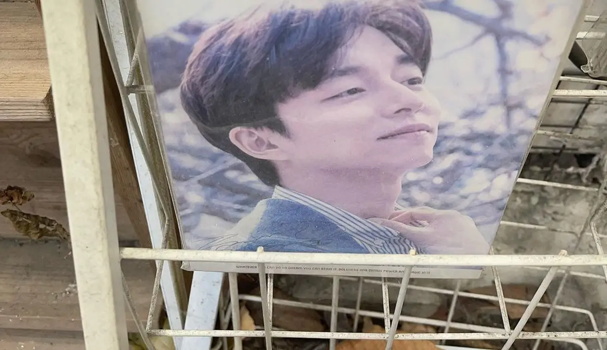 Ada juga kalender Gong Yoo yang dijual disebuah toko. (Foto: Instagram/ putrimarino)
