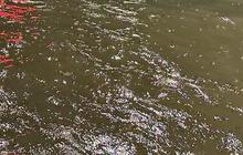 Banjir Melanda Pekalongan, Ibu dan Anak Ditemukan Meninggal Dunia