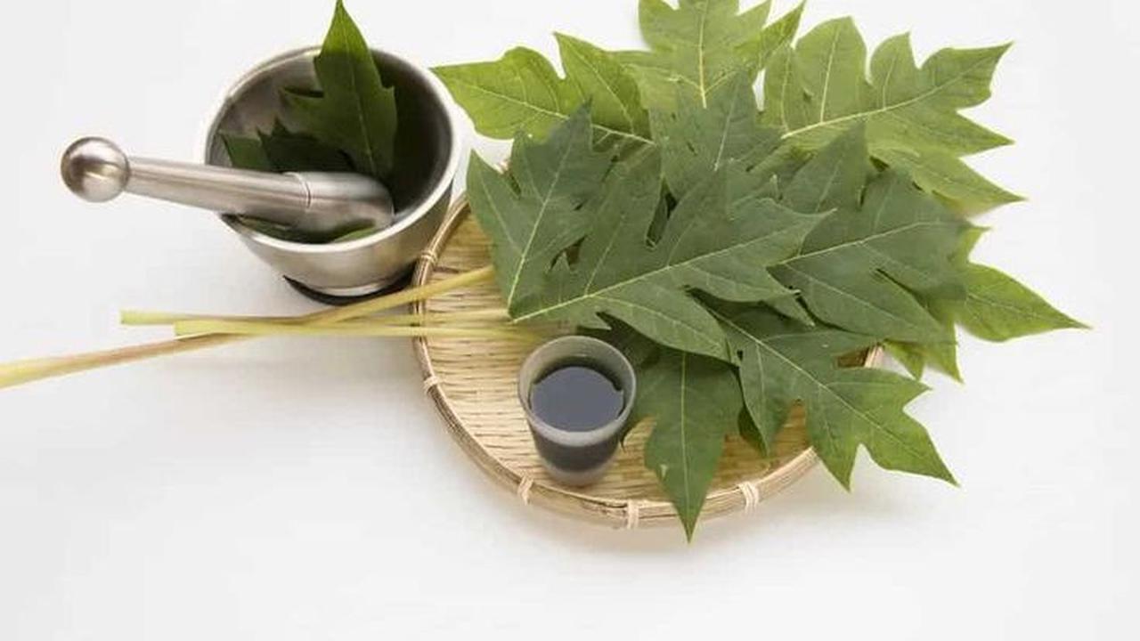 <b>Memiliki Efek Anti Inflamasi</b>