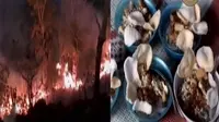 Anak-anak di Pulau Battoa, Polewali Mandar bantu memadamkan api hingga dawet khas Kulon Progo yang memiliki cita rasa yang unik. 