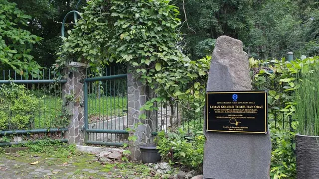 Taman Obat