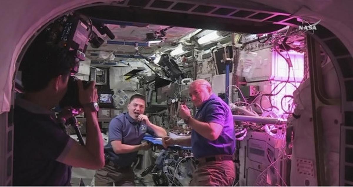 Mengintip astronot makan sayuran hasil tanam di luar angkasa