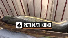 THUMBNAIL MESIR