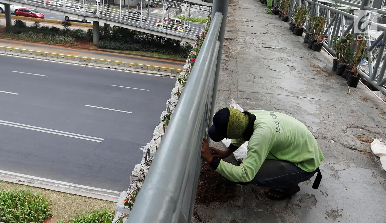 Dinas Kehutanan Provinsi DKI Jakarta menata tanaman yang dipasang di Jembatan Penyeberangan Orang (JPO) Benhil, Jakarta, Sabtu (24/8/2019). Penataan tersebut sebagai bentuk penghijauan dan mempercantik tata Kota Jakarta. (Liputan6.com/JohanTallo)
