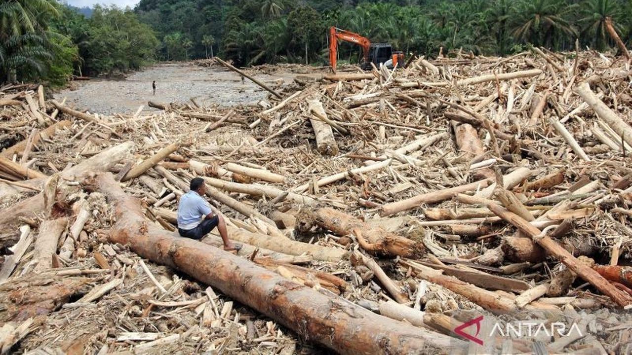 Kemenhut Telusuri Potensi Kayu Ilegal di Balik Banjir Sumatera, Modus Baru Terungkap