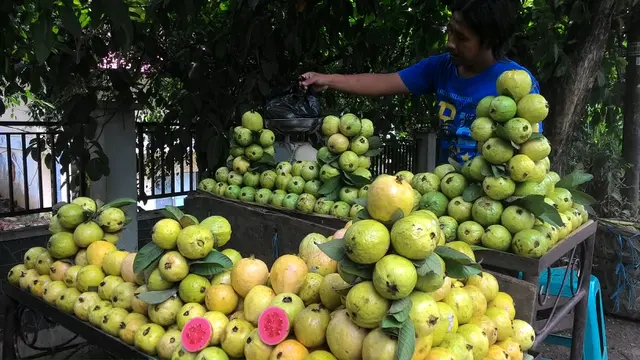 Pedagang jambu biji di Bogor