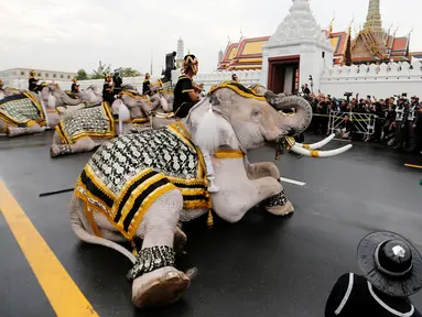 Gajah Ayutthaya duduk ditunggangi pawangnya memberikan penghormatan kepada mendiang Raja Thailand Bhumibol Adulyadej di depan Royal Palace, Bangkok, Thailand (8/11). Gajah merupakan hewan yang dikeramatkan oleh warga Thailand. (Reuters/Jorge Silva)