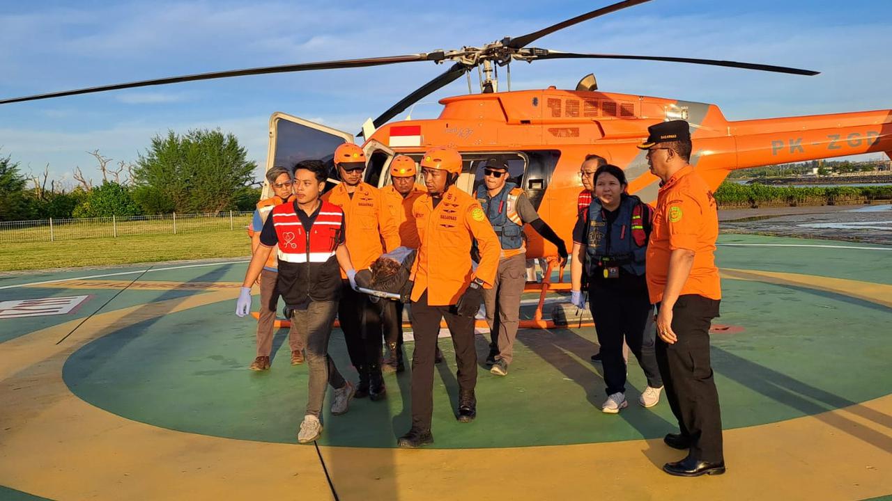 Terjadi Lagi, Pendaki Asing Asal Belanda Jatuh di Gunung Rinjani