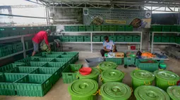 Kegiatan budidaya maggot yang dikelola warga korban Pemutusan Hubungan Kerja (PHK) ini dengan mengumpulkan sampah organik di wilayah Kelurahan Beji Timur yang kemudian diolah sebagai pakan maggot. (Merdeka.com/Arie Basuki)