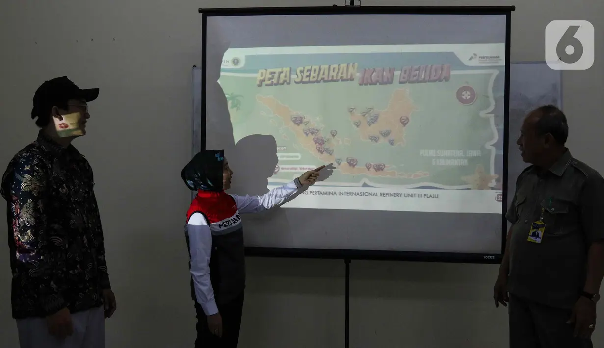 Peneliti BRIN Boby Muslimin bersama Area Manager Communication Relation & CSR PT KPI RU lll Plaju Siti Rachmi beserta Rektor Universitas PGRI Palembang Bukman Lian (kiri ke kanan) saat presentasi terkait konservasi ikan Belida di Universitas PGRI Palembang, Sumatera Selatan, Senin (9/9/2024). (Liputan6.com/Herman Zakharia)