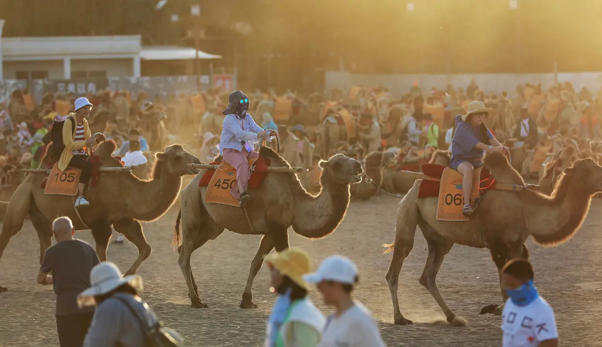Para wisatawan menaiki unta di padang pasir di Dunhuang di provinsi Gansu di China barat laut (10/8/2019). Unta yang digunakan untuk menjelajahi padang pasir di Dunhuang berbeda dengan yang di Arab Saudi. Unta Mongolia mempunyai dua punuk, sedangkan di Arab hanya satu punuk. (AFP Photo/Str)
